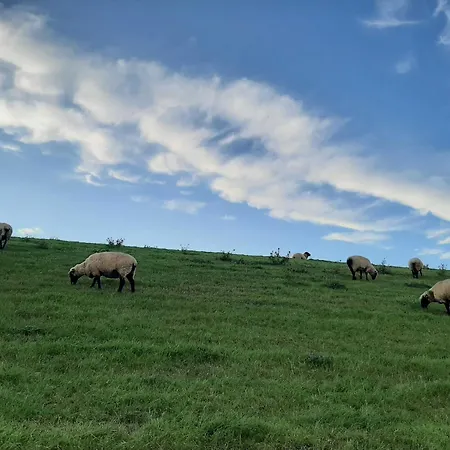 ファームステイ Stellerbruch *