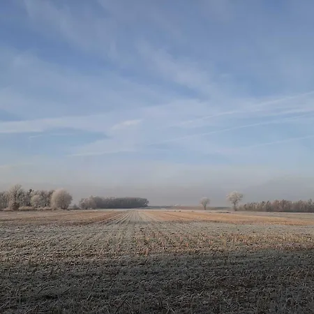 Alojamento de Turismo Rural Stellerbruch *