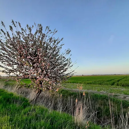 Bauernhof Stellerbruch
