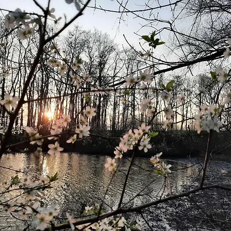 Stellerbruch Schwanewede